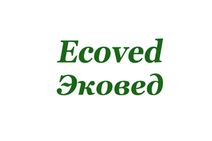 ecommerce