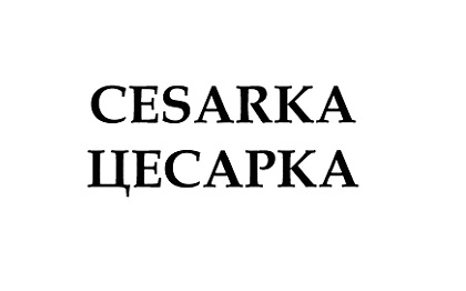 ecommerce